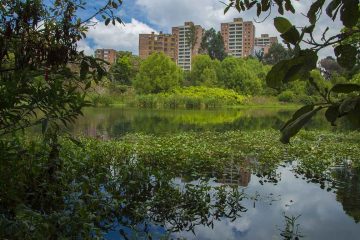 Graves denuncias hace la comunidad de Niza por la contaminación en el humedal Córdoba por 61 conexiones erradas que generan mal olor