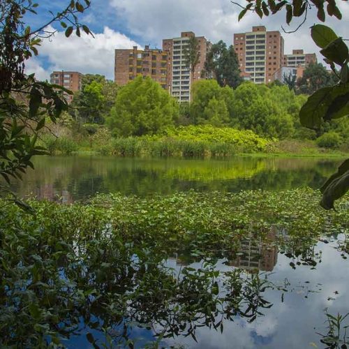 Graves denuncias hace la comunidad de Niza por la contaminación en el humedal Córdoba por 61 conexiones erradas que generan mal olor