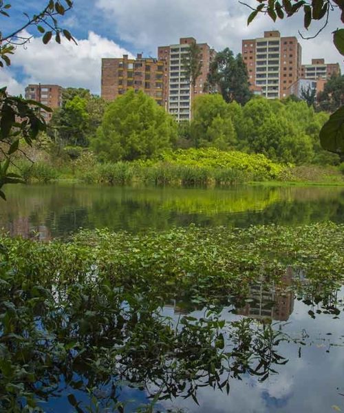 Graves denuncias hace la comunidad de Niza por la contaminación en el humedal Córdoba por 61 conexiones erradas que generan mal olor
