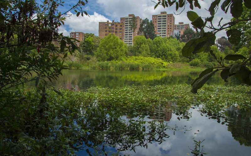 Graves denuncias hace la comunidad de Niza por la contaminación en el humedal Córdoba por 61 conexiones erradas que generan mal olor