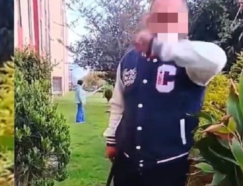 Indignación en Suba: hombre amenaza con matar a un perro con un palo en conjunto residencial de La Gaitana