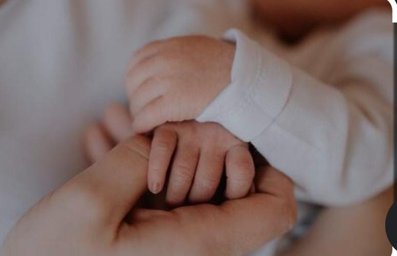 La natalidad cae pero, ¿hay que culpar a las mujeres?