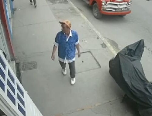 Alerta en Quintas de Santa Rita y Caminos de la Esperanza por ladrón «identificado» en cámaras