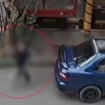 Indignación en Suba: familia denuncia robo de mascota de apoyo emocional