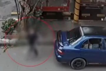 Indignación en Suba: familia denuncia robo de mascota de apoyo emocional