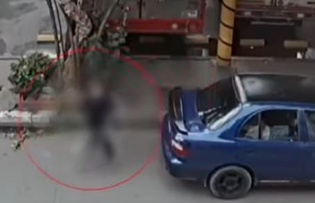 Indignación en Suba: familia denuncia robo de mascota de apoyo emocional