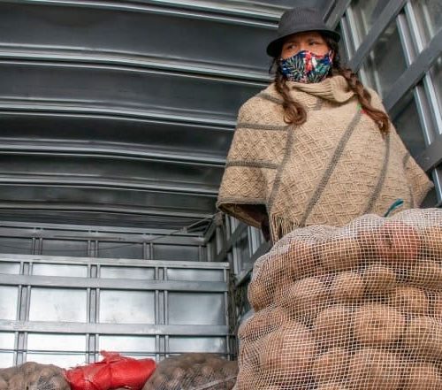 Gran Papatón en Belén: una jornada para apoyar a los productores locales