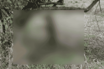 Investigan posible ritual satánico tras hallazgo de una perrita sin vida en Natagaima, Tolima