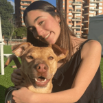 Brinda calor de hogar navideño: más de 50 perros y gatos esperan encontrar una familia