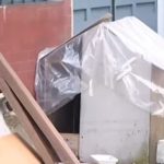 Terror en Ciudad Jardín Norte: Pitbull agresivo siembra pánico y deja varios heridos en el barrio. afectado un ex-edil