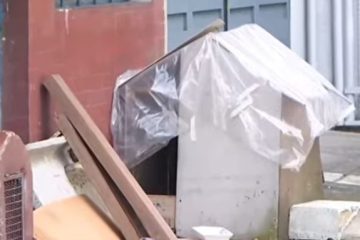 Terror en Ciudad Jardín Norte: Pitbull agresivo siembra pánico y deja varios heridos en el barrio. afectado un ex-edil