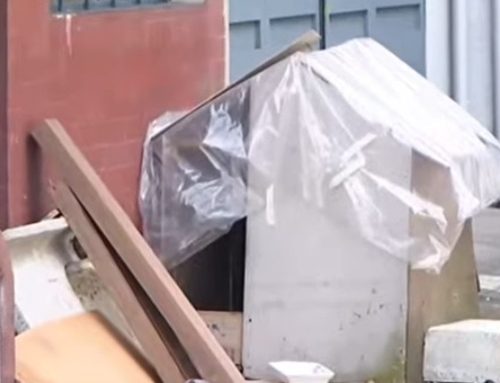 Terror en Ciudad Jardín Norte: Pitbull agresivo siembra pánico y deja varios heridos en el barrio. afectado un ex-edil