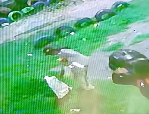 Indignación en el barrio La Gaitana por robo a Jardín Infantil; se llevaron hasta los Platos y las ollas de los Niños