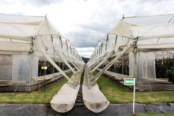 Economía Circular con músculo académico: La Sabana, La Salle, Libre y Uniminuto se suman a la estrategia de la CAR