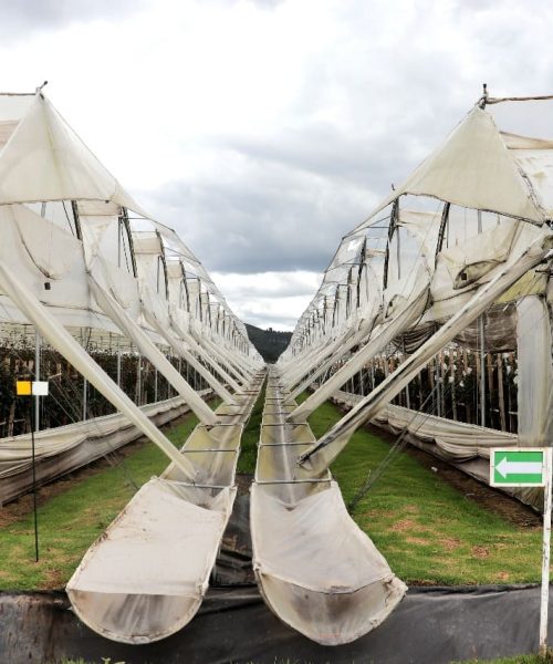 Economía Circular con músculo académico: La Sabana, La Salle, Libre y Uniminuto se suman a la estrategia de la CAR