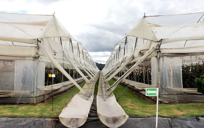 Economía Circular con músculo académico: La Sabana, La Salle, Libre y Uniminuto se suman a la estrategia de la CAR