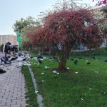 Bogotá le pone ritmo a la recolección: UAESP lanza tonada y chats vecinales contra la acumulación de basuras