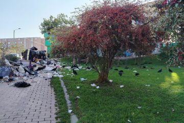 Bogotá le pone ritmo a la recolección: UAESP lanza tonada y chats vecinales contra la acumulación de basuras