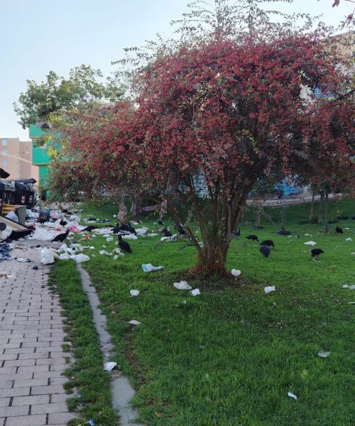 Bogotá le pone ritmo a la recolección: UAESP lanza tonada y chats vecinales contra la acumulación de basuras