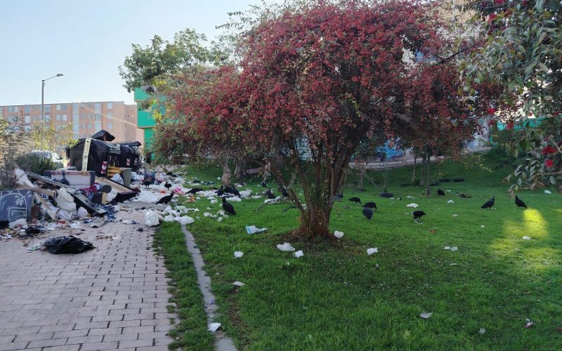 Bogotá le pone ritmo a la recolección: UAESP lanza tonada y chats vecinales contra la acumulación de basuras