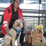 Firmado en Bogotá convenio para atender casos de abandono de animales en TransMilenio