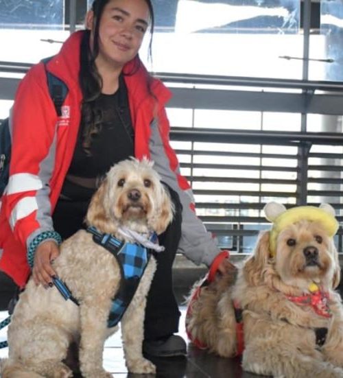Firmado en Bogotá convenio para atender casos de abandono de animales en TransMilenio