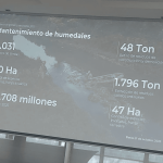 EAAB Revela: Inversión millonaria en humedales persiste pese a conexiones ilegales