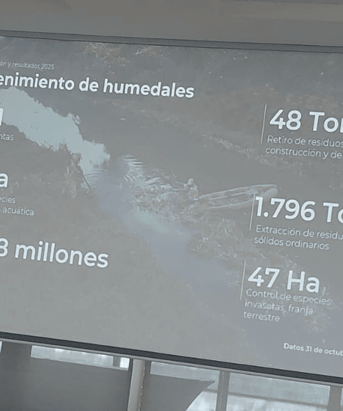 EAAB Revela: Inversión millonaria en humedales persiste pese a conexiones ilegales