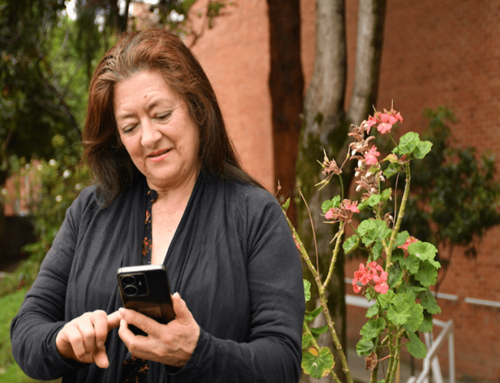 Pagos retroactivos de Ingreso Mínimo Garantizado para personas mayores