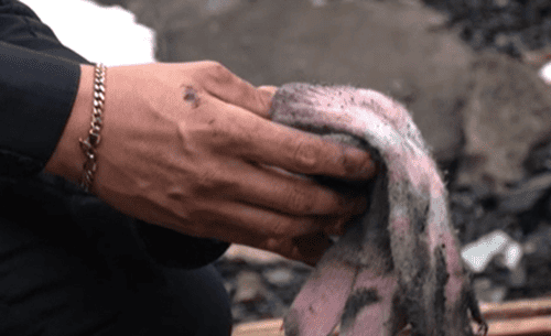 Milagro en Boyacá: Subintendente salva a bebé de 2 años tras choque brutal de tractomula