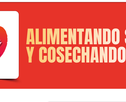 Desayunos Navideños: unión entre empresas y Misión Nutrición iluminó la Navidad de mil familias