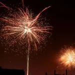 Pólvora en Bogotá durante diciembre provocó miedo en cerca de 1.000 animales según reportes