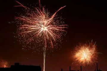 Pólvora en Bogotá durante diciembre provocó miedo en cerca de 1.000 animales según reportes