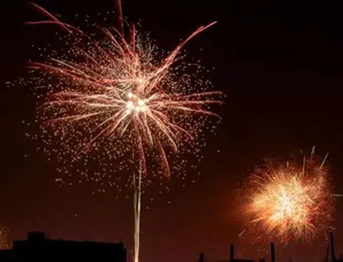 Pólvora en Bogotá durante diciembre provocó miedo en cerca de 1.000 animales según reportes