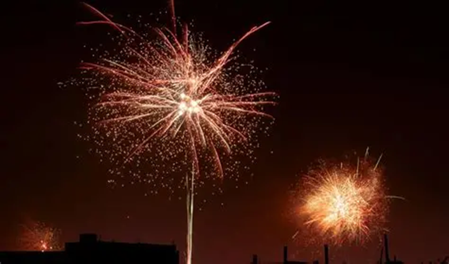 Pólvora en Bogotá durante diciembre provocó miedo en cerca de 1.000 animales según reportes