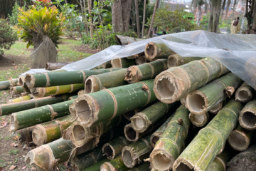 CAR y Policía frenan transporte ilegal de guadua en vías de Cundinamarca