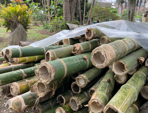 CAR y Policía frenan transporte ilegal de guadua en vías de Cundinamarca