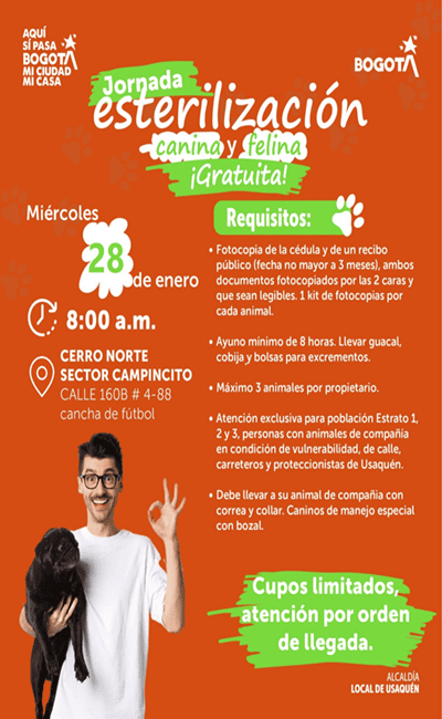 Alcaldía de Usaquén invita a jornada gratuita de esterilización canina y felina
