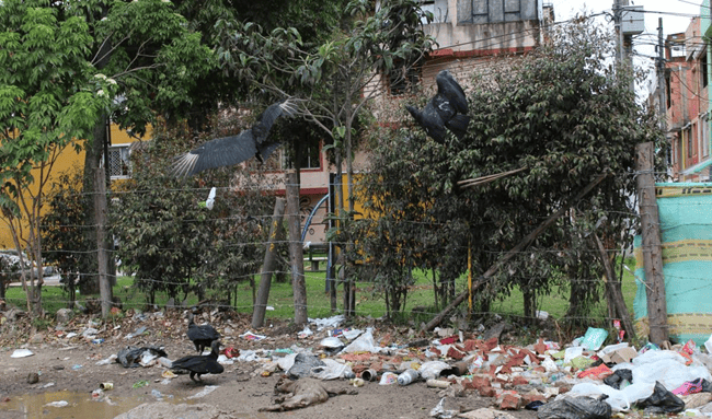 Barrios del noroccidente de Suba alzan la voz por crisis de basuras y riesgos para la salud