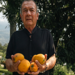 $1.000 millones para el campo: Cundinamarca potencia la transformación del mango y otras frutas