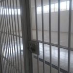 Más de $2.500 millones entregados y la URI de Suba no avanza: Diana Diago