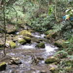 Alcaldía de Usaquén convoca a jornada de limpieza en la Quebrada Morací este 21 de febrero