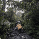 Un total de 112.237 personas recorrieron los senderos durante el año, lo que representa un aumento del 58 % frente a 2024,