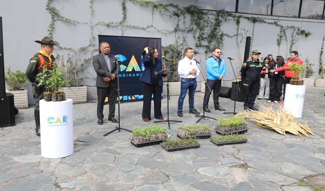 Semana Santa bajo control: ofensiva contra tráfico de fauna y palma de cera en Cundinamarca