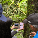 Más de 300 especies detectadas: El ambicioso plan de la CAR para vigilar la fauna en tiempo real