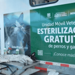 Jornada gratuita de esterilización de mascotas este lunes 2 de marzo en Mirador del Norte en Usaquén