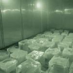 Autoridades clausuran bodega de hielo por riesgos para la salud pública en Ibagué