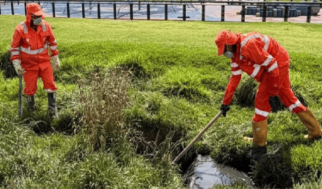 Más de una tonelada de basura fue retirada del humedal Torca y Guaymaral en Bogotá