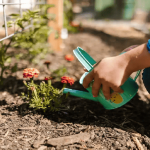 Usaquén se prepara para una jornada de jardinería comunitaria