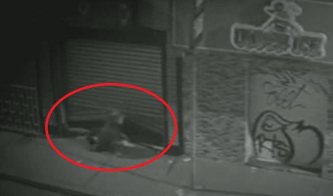 Millonario robo en Ciudad Bolívar: delincuentes se llevan $50 millones en joyas en menos de tres minutos